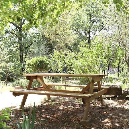 Mazet La Cle Des Flots En Bord De Riviere Holiday home