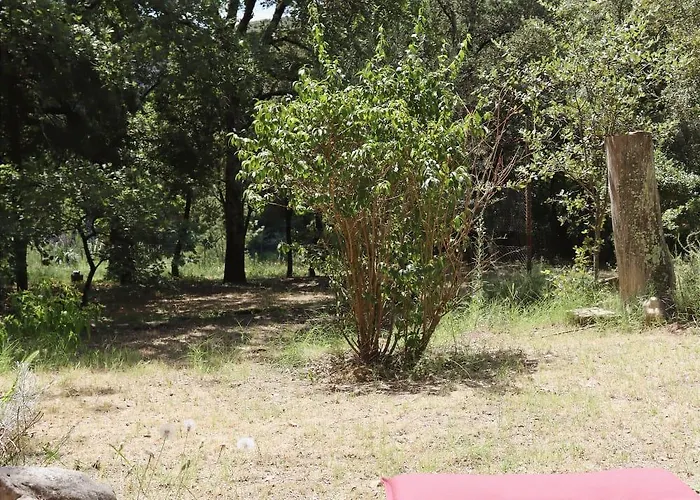 Mazet La Clé Des Flots En Bord De Rivière Casa vacanze Collias